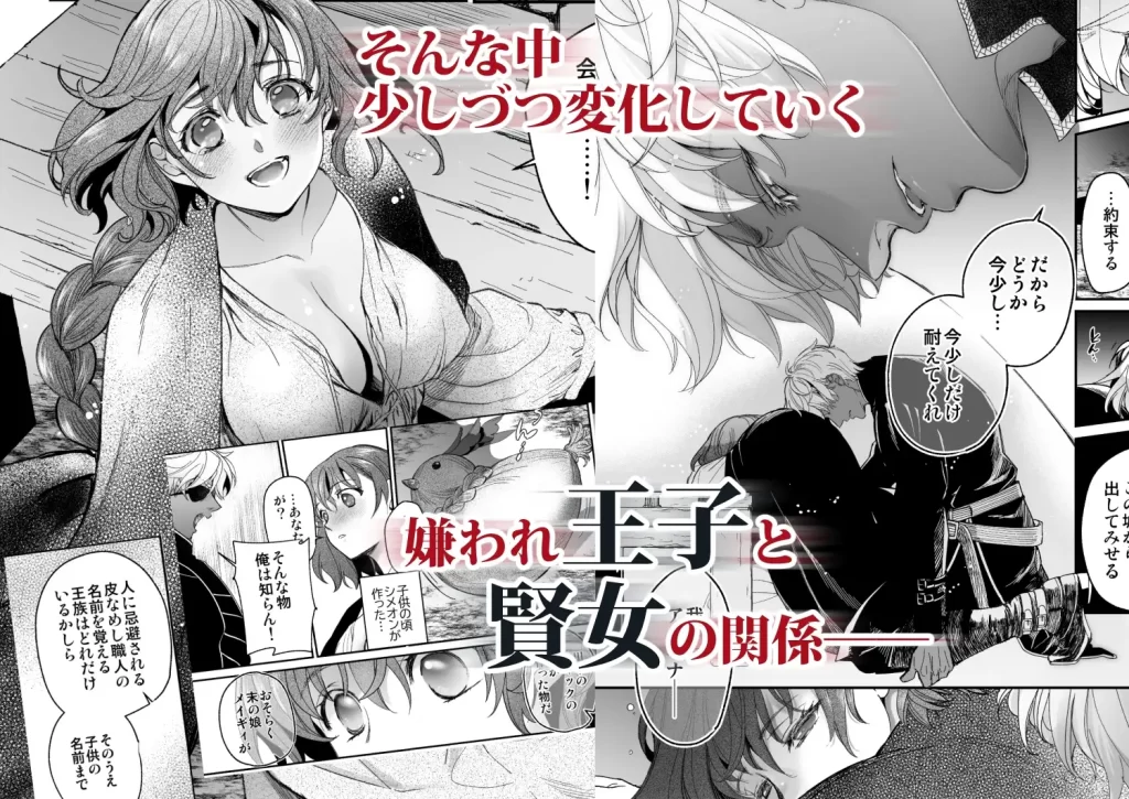 死刑宣告された賢女が嫌われ王子に溺愛されて、幸せになるまでの物語・中編