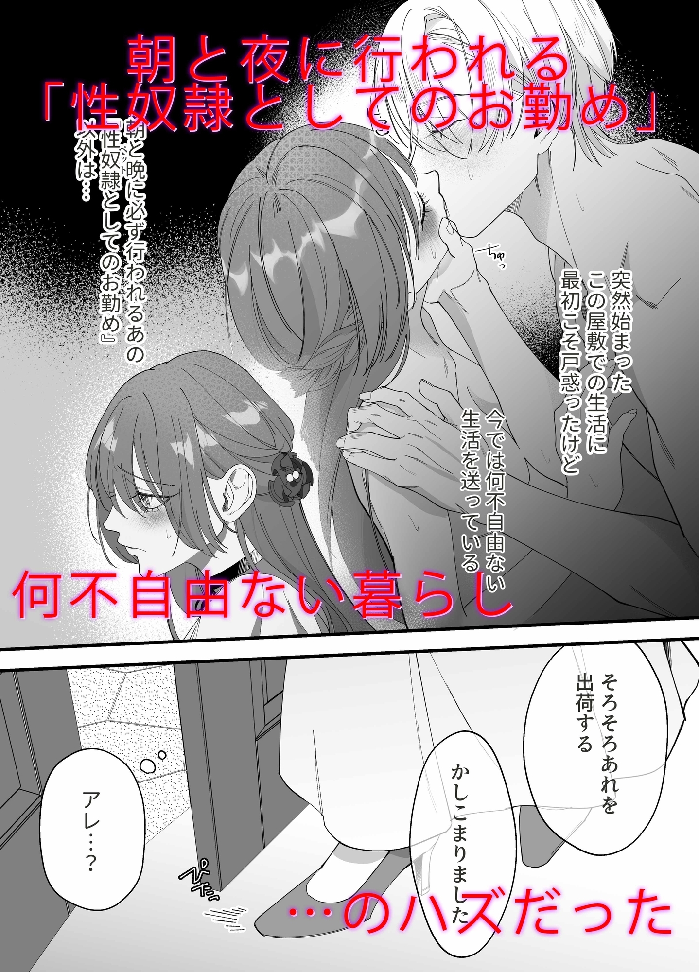 性奴隷のはずが溺愛されています