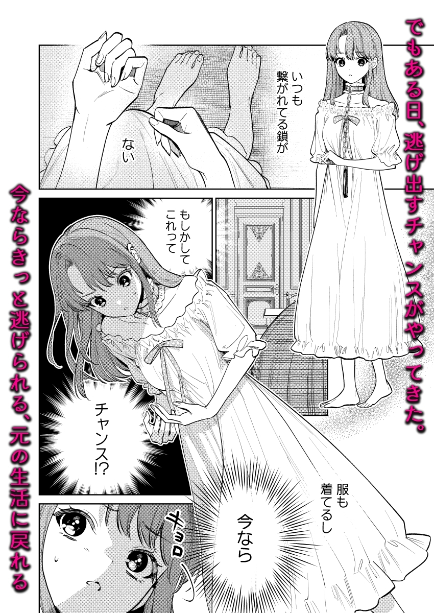 【下巻】MY SWEET BUNNY CAGE(コミック)