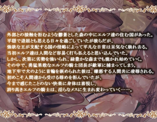 騎士だけどち●ぽに負けてふしだらなメスになった件