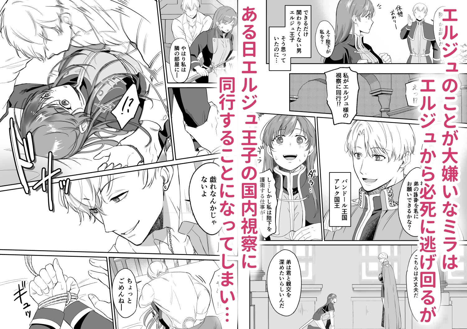 最強女騎士は執着系弟王子から逃げられない!