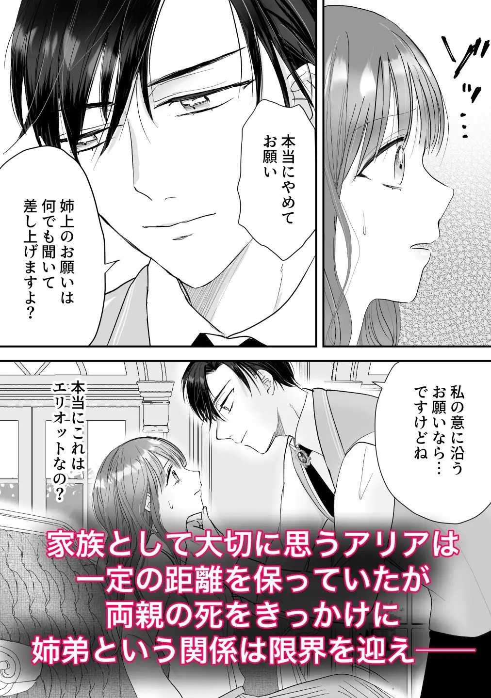 公爵家姉弟の背徳